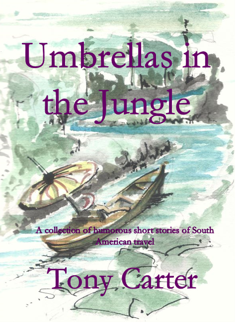 Book Title