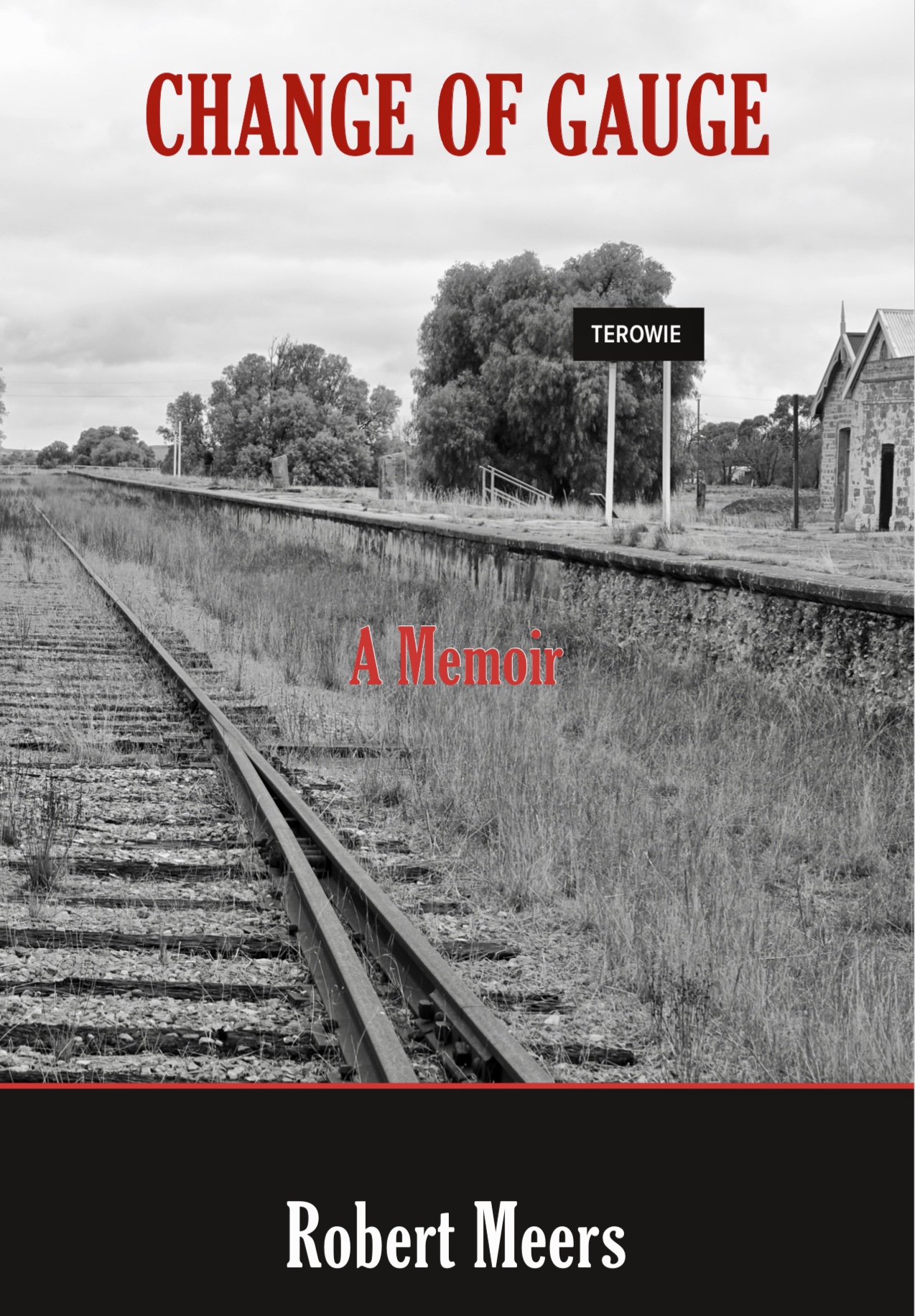 Book Title