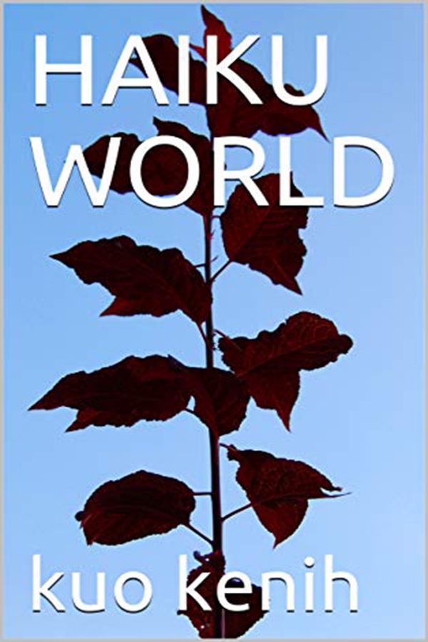 Book Title