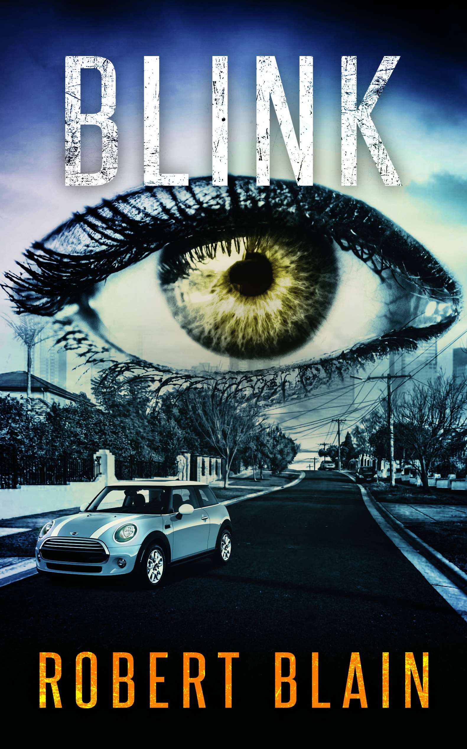 Book Title