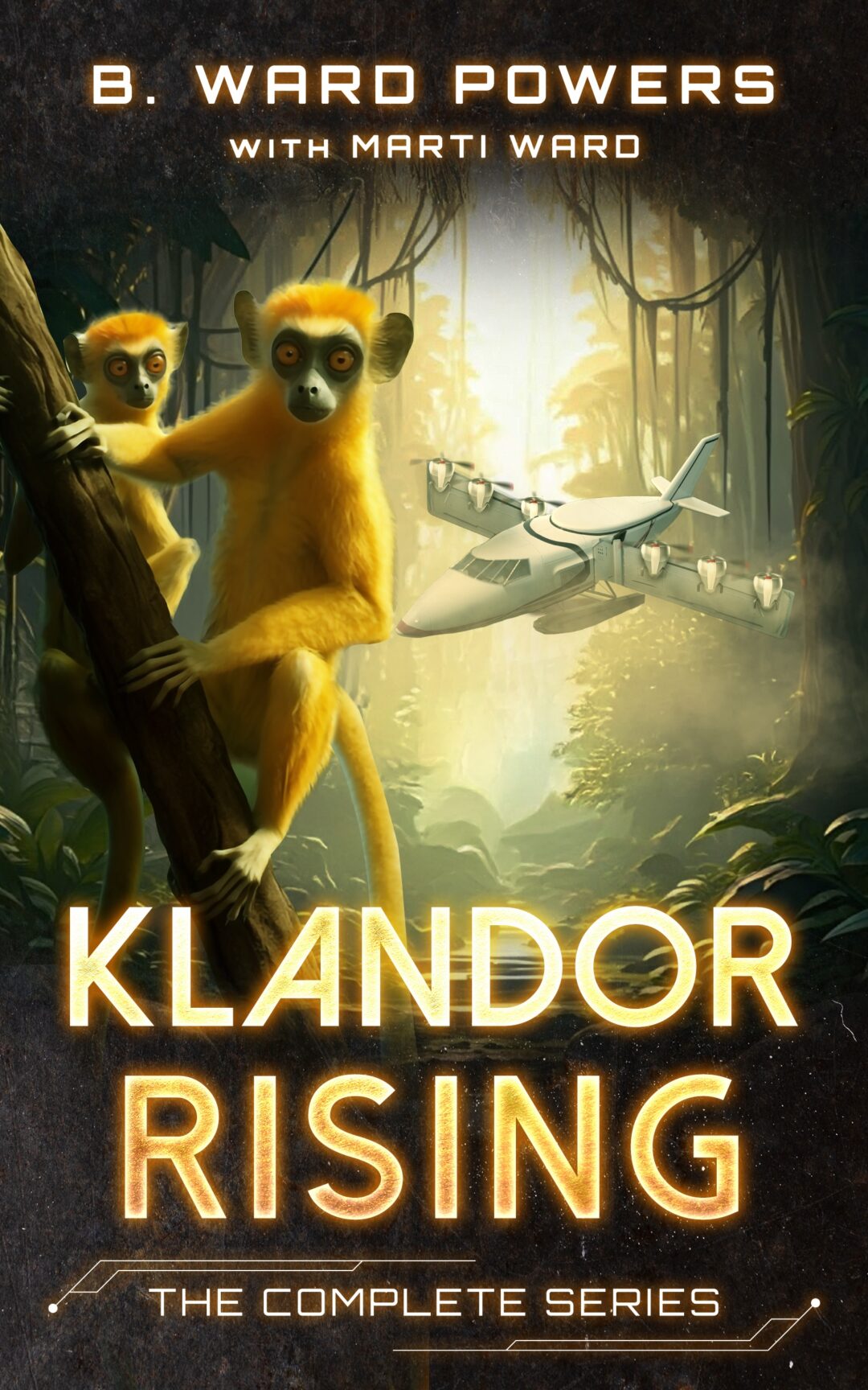 Book Title
