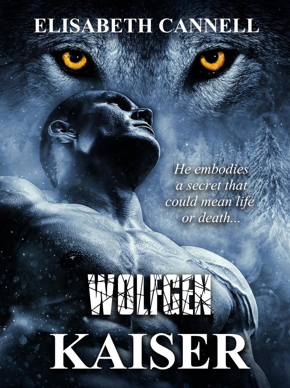 Book Title