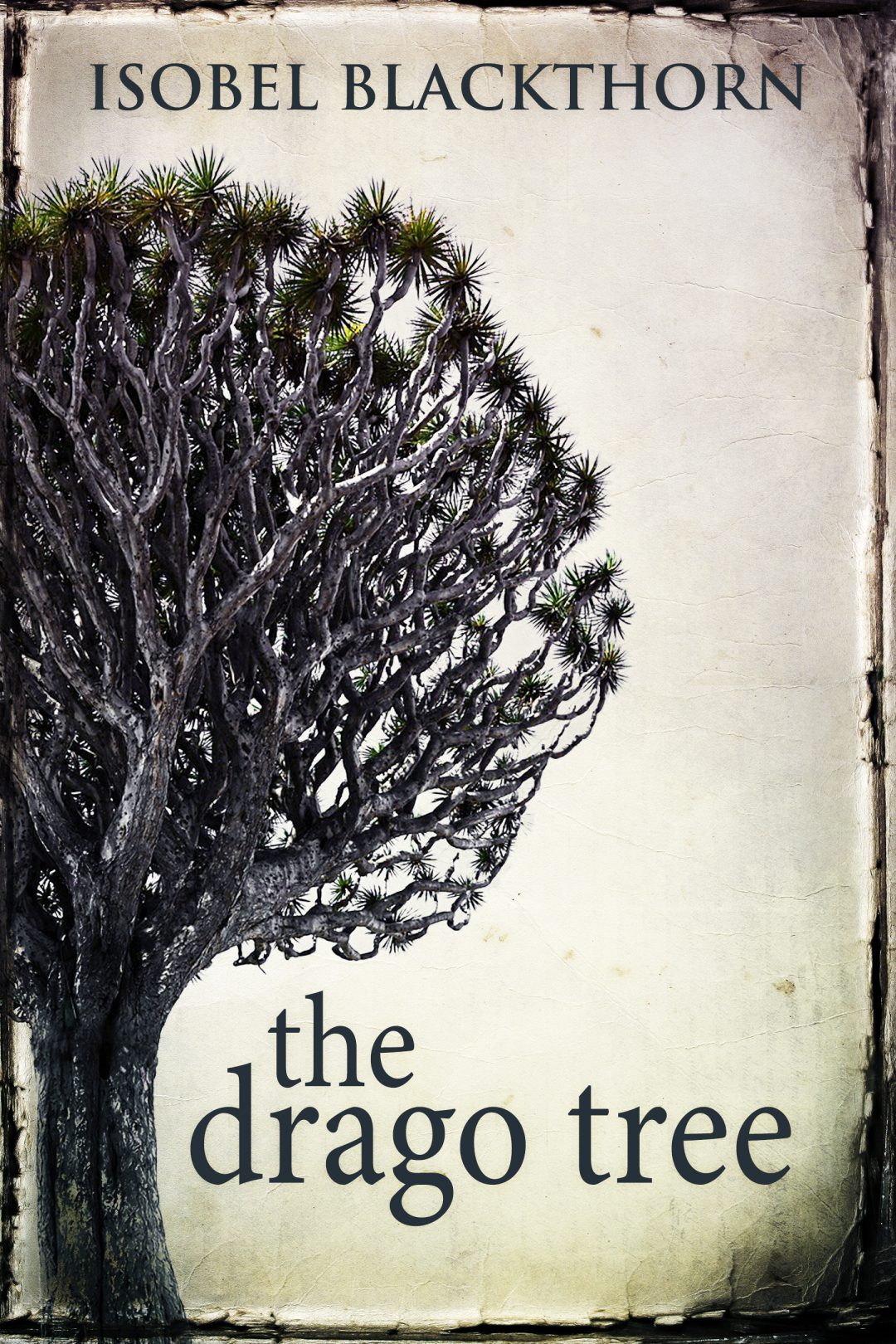 Book Title